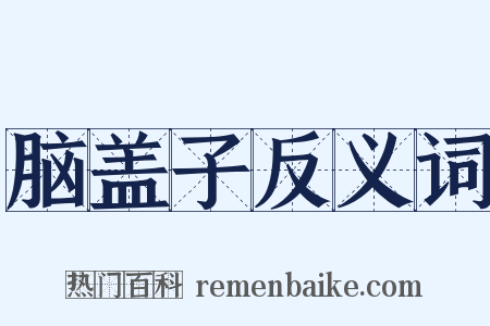 脑盖子反义词是什么意思的图片